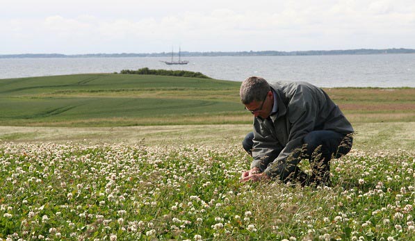 Grassland management